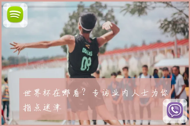 世界杯在哪看？专访业内人士为你指点迷津